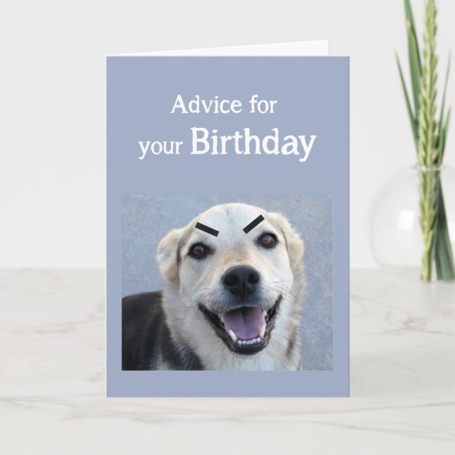 Birthday Humor Cute Dog New Trend Eyebrows Fun Card (Front)