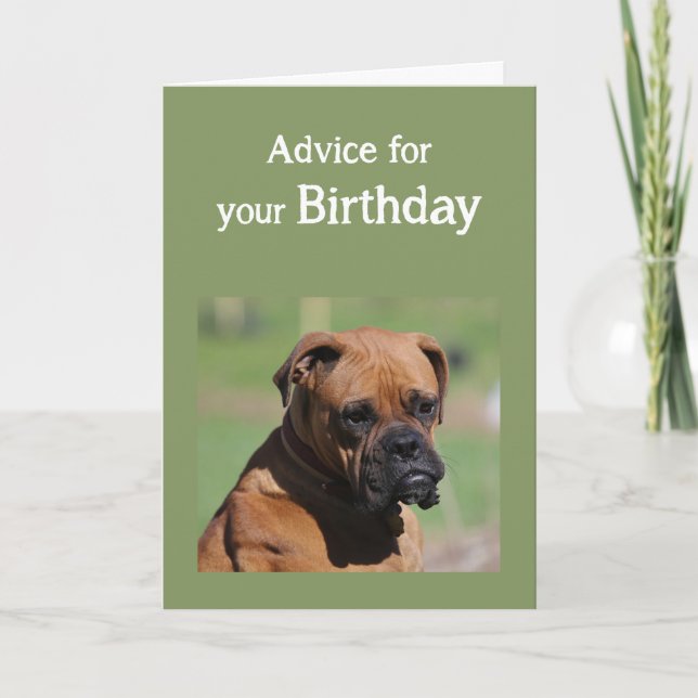 Birthday Humor Cute Dog Older need to be Wiser Card (Front)