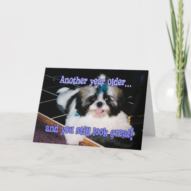 Birthday Humor - Cute Shih-Tzu Puppy Card (Front)