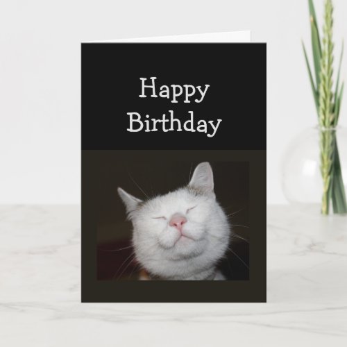 Birthday Humor Cute Smiling Cat for Inspiration Card