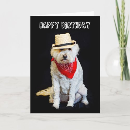 BIRTHDAY _ HUMOR _ DOGCOWBOY HAT AND SCARF CARD