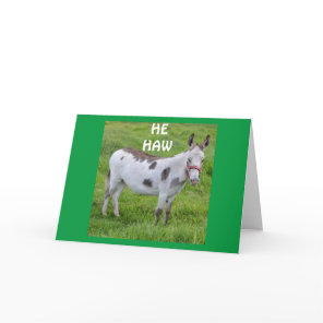 **BIRTHDAY HUMOR FROM A DONKEY NO LESS** Card