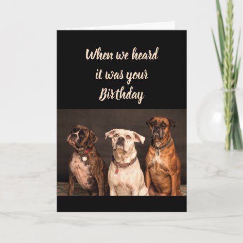 Birthday Humor From all of Us Boxer Dog Fun Card