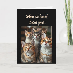 Birthday Humor From all of Us Cute Cats Card