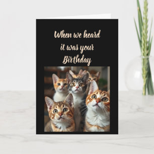 Birthday Humor From all of Us Cute Cats Card