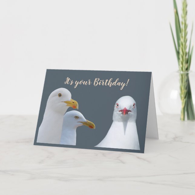 Birthday Humor From all of Us Flock Seagulls Card (Front)