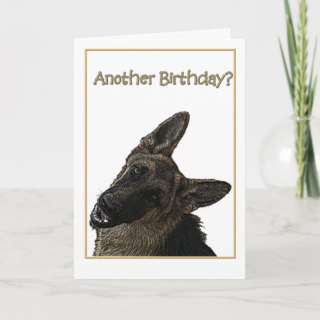 Birthday Humor German Shepherd Illustration Card (Front)