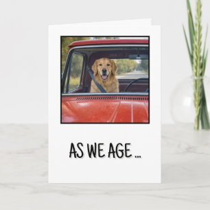 Birthday Humor Golden Retriever Wearing a Seatbelt Card