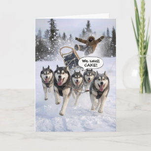 Birthday Humor Huskies Pulling a Sled Card