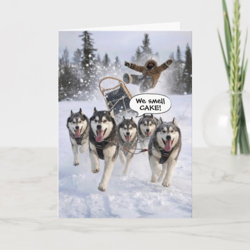 Birthday Humor Huskies Pulling a Sled Card