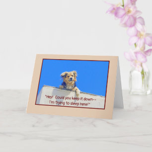 BIRTHDAY HUMOR/LET SLEEPING DOGS LIE CARD