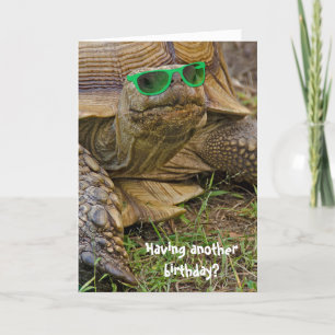 birthday humor-old tortoise in green glasses card