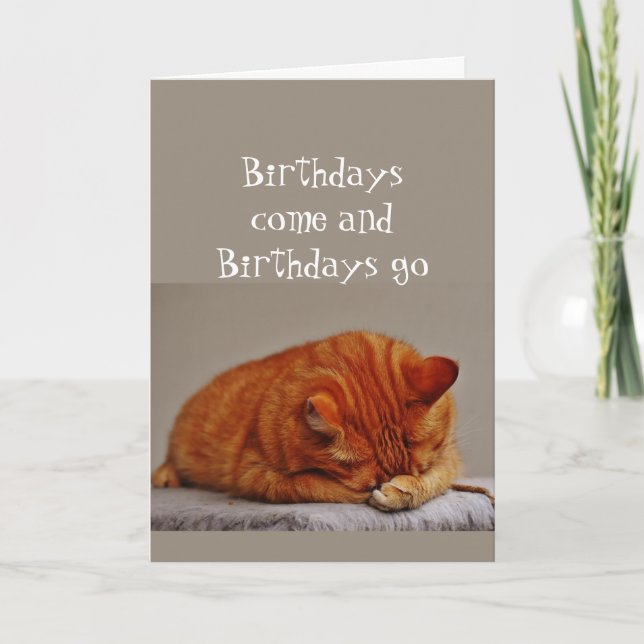 Birthday Humor Over the Hill Disgusted Cat Card (Front)