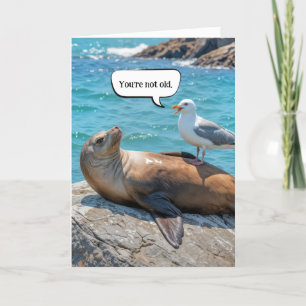 Birthday Humor Seagull Perched On a Sea Lion Card