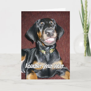Birthday Humor - Smiling Doberman Pinscher Puppy Card
