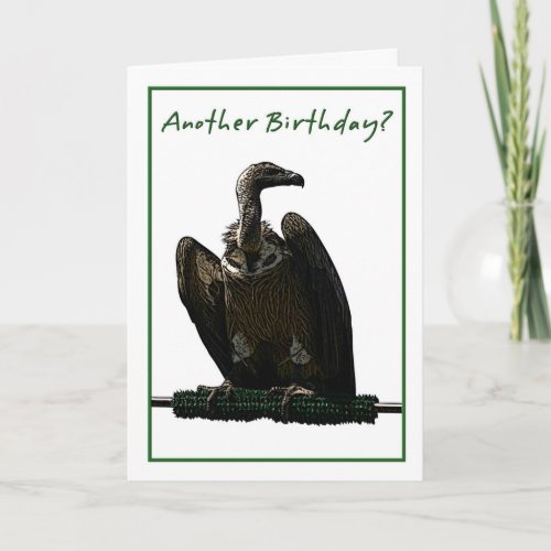 Birthday Humor Vulture Illustration Card