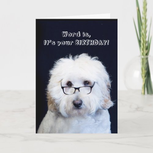 BIRTHDAY _ HUMOR WDOGBLACK_RIM GLASSES CARD