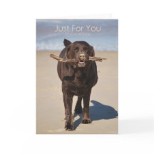 Birthday-Just For You