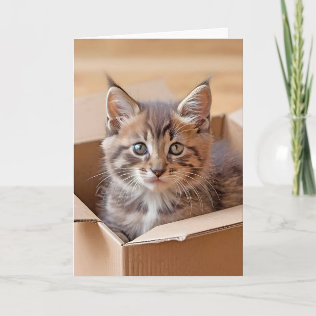 Birthday Kitten In a Cardboard Box Card (Front)