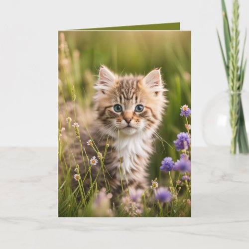 Birthday Kitten In Wildflowers Card