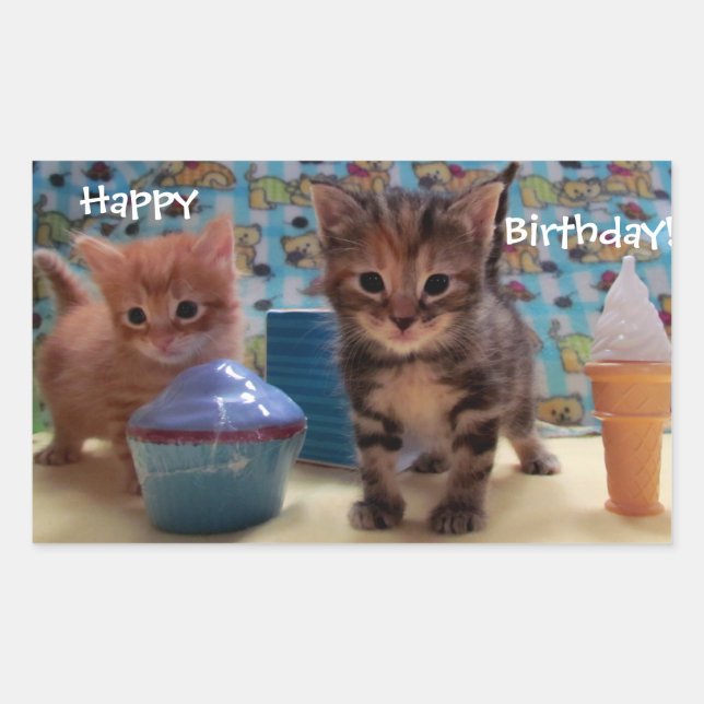 Birthday Kitty Stickers (Front)