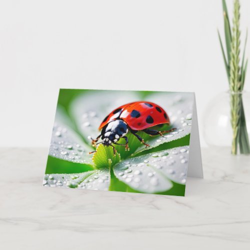 Birthday Ladybug On 4 Leaf Clover Card