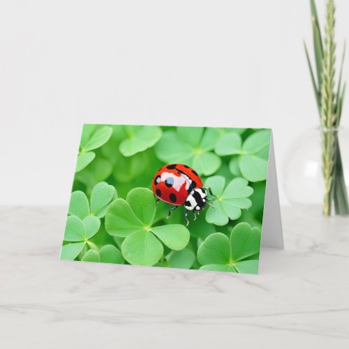Birthday Ladybug On Four_Leaf Clovers Card
