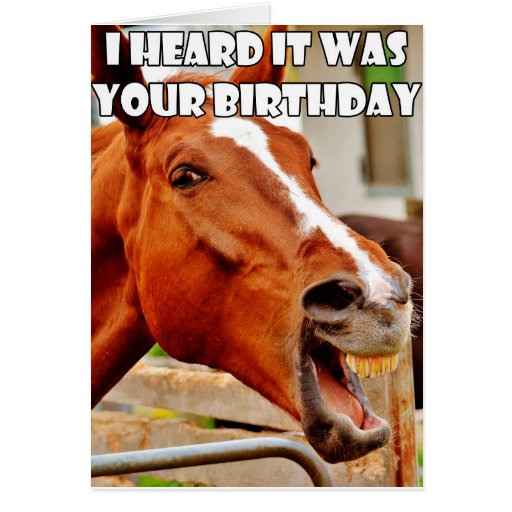 Birthday Laughing Horse Card | Zazzle