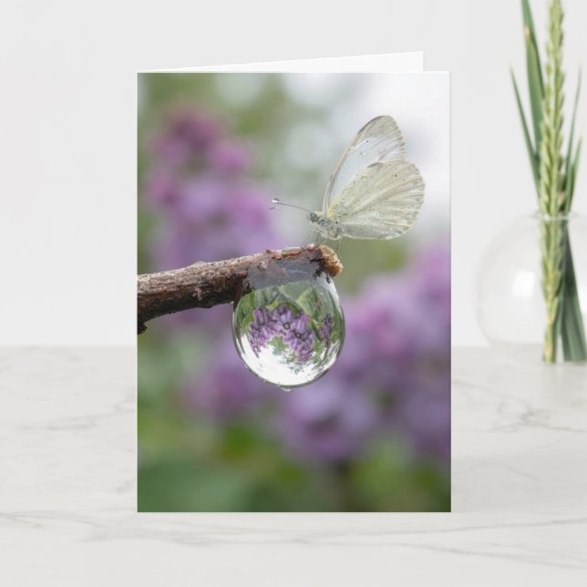 Birthday Lilacs Reflecting in a Raindrop  Card (Front)