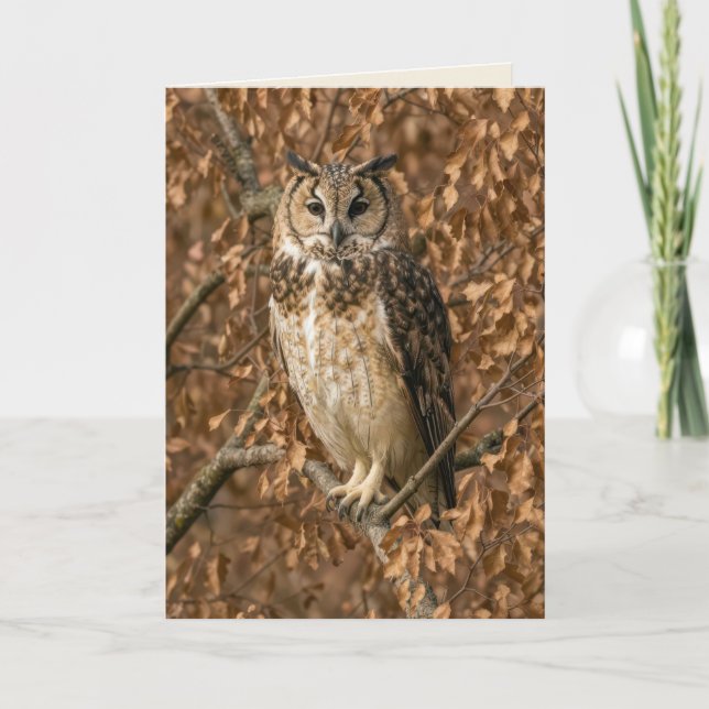 Birthday Long-eared Owl Humor Card (Front)