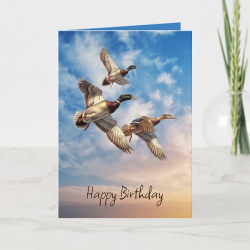 Birthday Mallard Ducks On Sunrise Sky Card