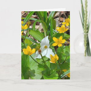 Birthday Marsh Marigolds and Trillium Card