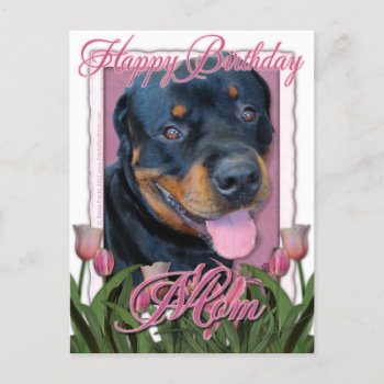 Birthday Mom - Pink Tulips - Rottweiler - Harley Postcard by FrankzPawPrintz at Zazzle