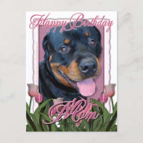 Birthday MOM _ Pink Tulips _ Rottweiler _ Harley Postcard