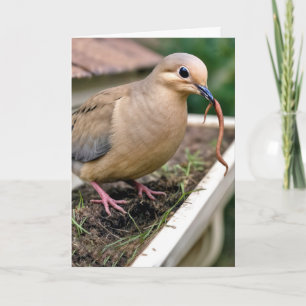 Birthday Mourning Dove On a Gutter With a Worm Card