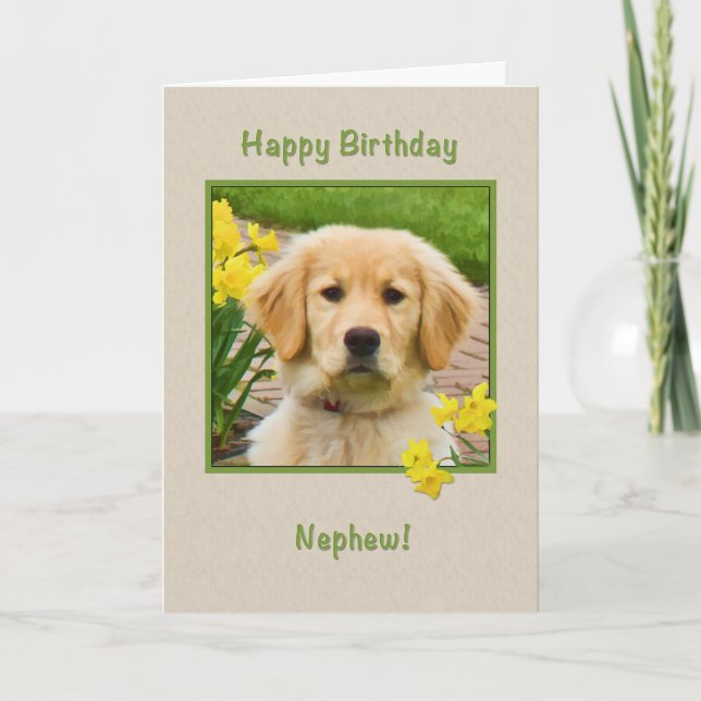 Birthday, Nephew, Golden Retriever Dog, Daffodils Card (Front)