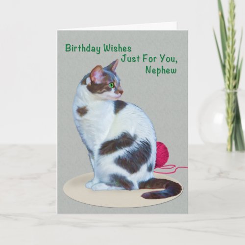 Birthday Nephew Green_Eyed Cat Card