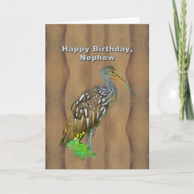 Birthday, Nephew, Limpkin Marsh Bird Card (Front)