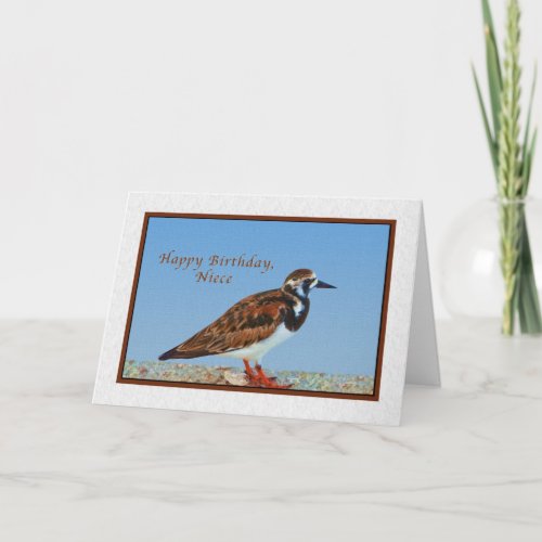 Birthday Niece Ruddy Turnstone Bird Card