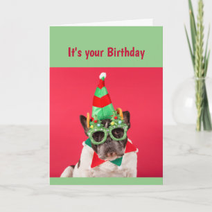 Birthday Not Young Forever Immature Funny Dog Card