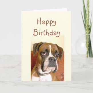 Birthday Old Age Not Happy, Humor with Dog Card