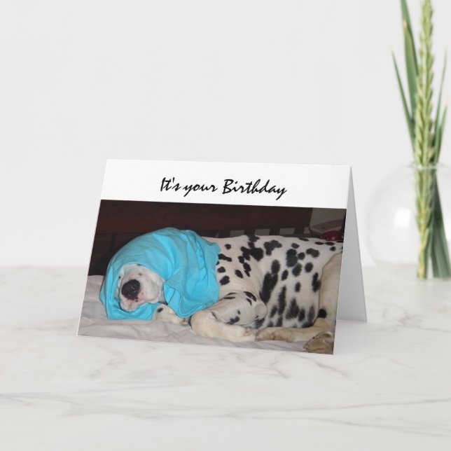 Birthday Old Age Not Happy, Humor with Dog Card (Front)