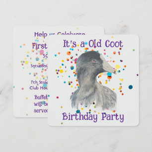 Birthday Old Coot Bird Fun Novelty Animal Pattern Invitation