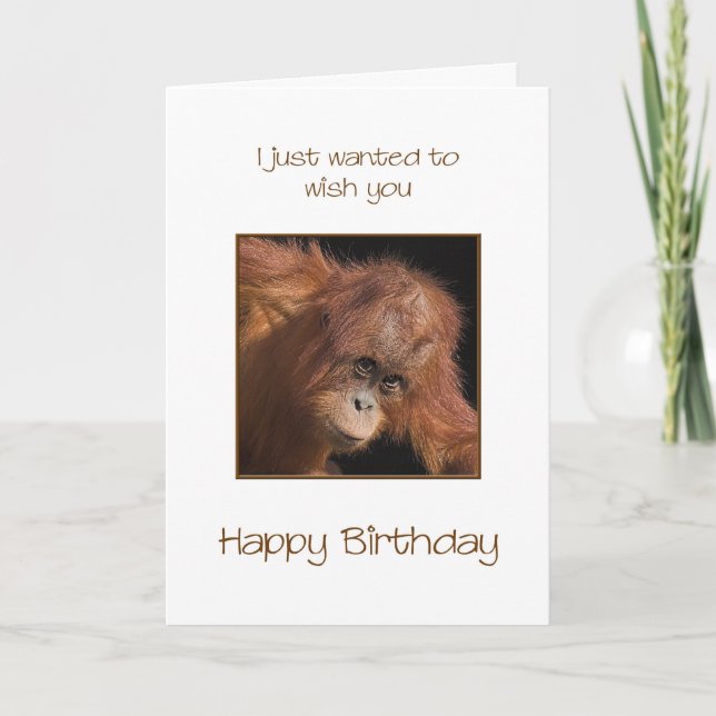 Birthday, Orang Utan Card (Front)