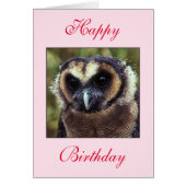 Birthday Owl Greeting Card (Front)