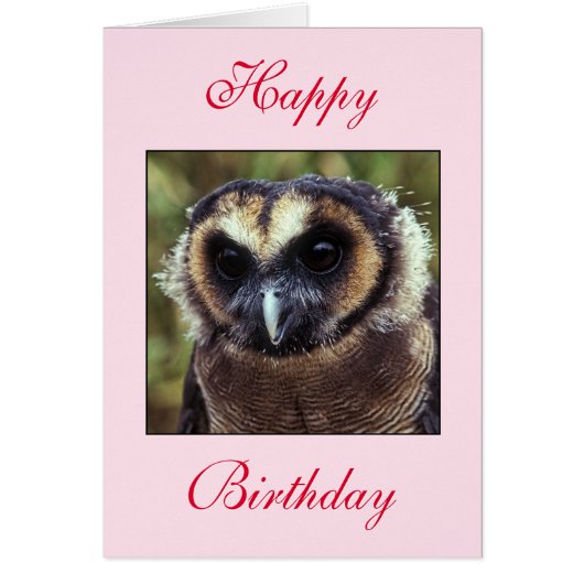 Birthday Owl Greeting Card (Front)