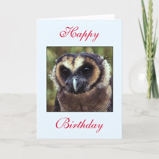 Birthday Owl Greeting Card | Zazzle.com