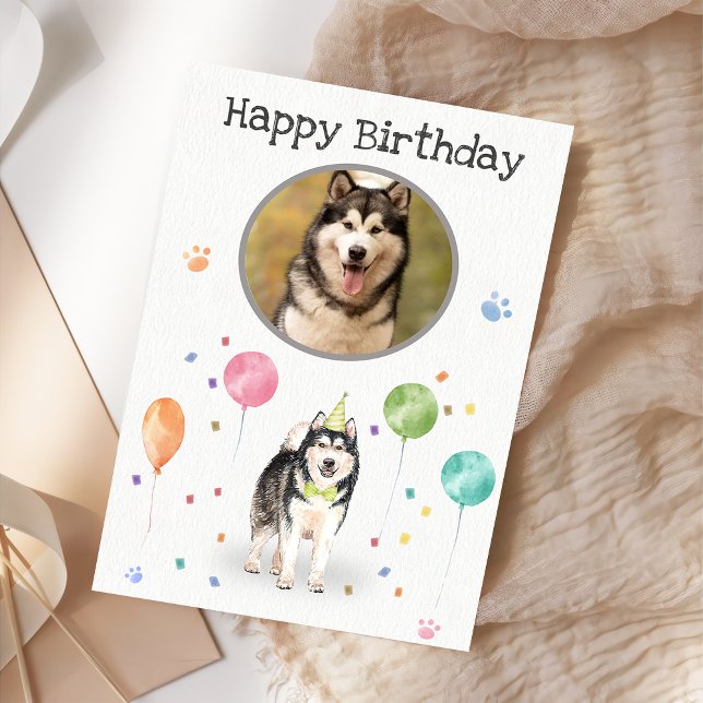  Birthday Party Alaskan Malamute Card (Creator Uploaded)