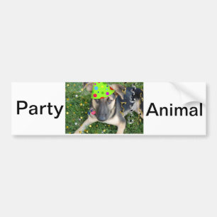 Birthday Party Animal German Shepherd Bumper Sticker