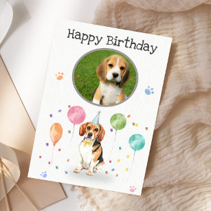 Birthday Party Beagle Lets Dog Animal Card
